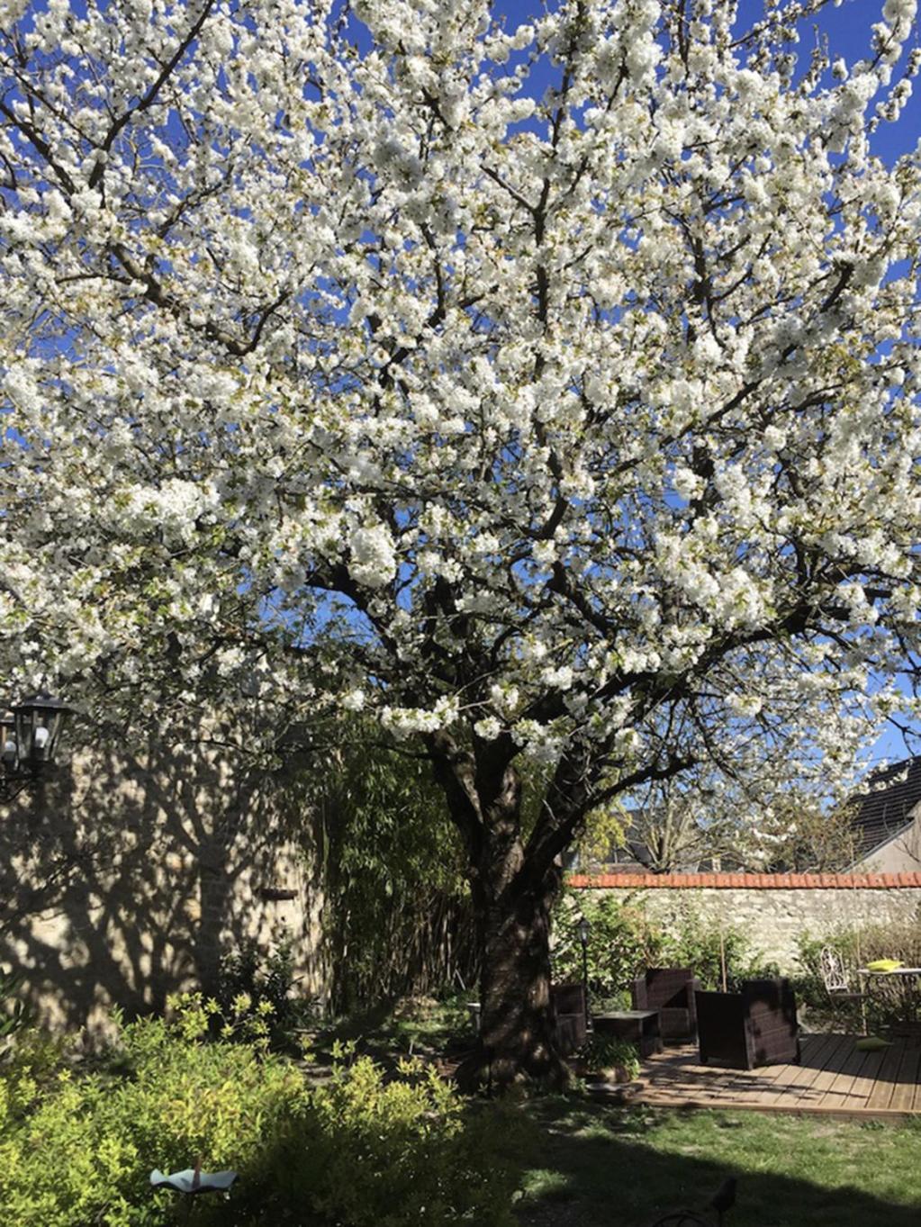Bed and Breakfast Aquarelle Sainte-Maure-de-Touraine Esterno foto